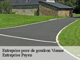 Entreprise pose de goudron  38200