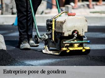 Entreprise pose de goudron  38200