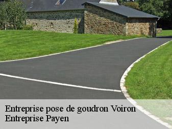 Entreprise pose de goudron  38500