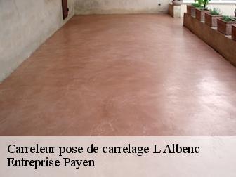 Carreleur pose de carrelage  l-albenc-38470 Entreprise Payen