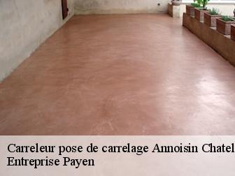 Carreleur pose de carrelage  annoisin-chatelans-38460 Entreprise Payen