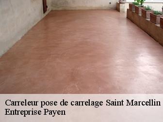 Carreleur pose de carrelage  saint-marcellin-38160 Entreprise Payen